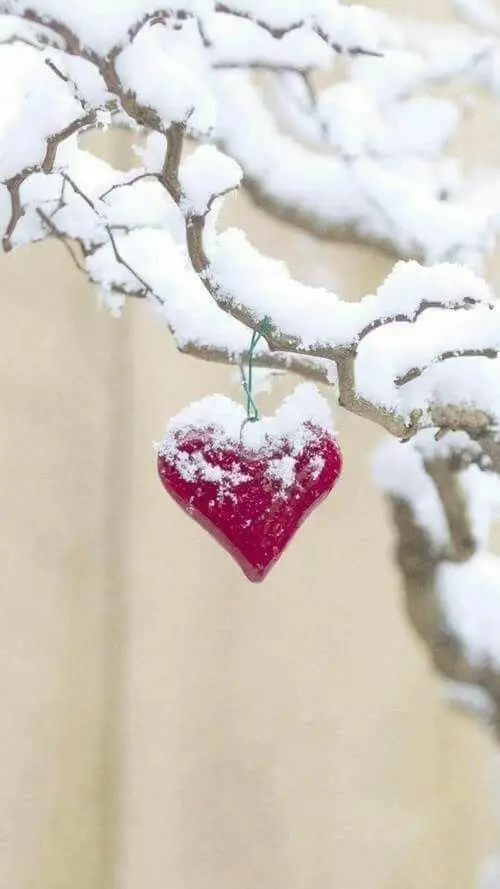 Condolence image of Bonny❤️