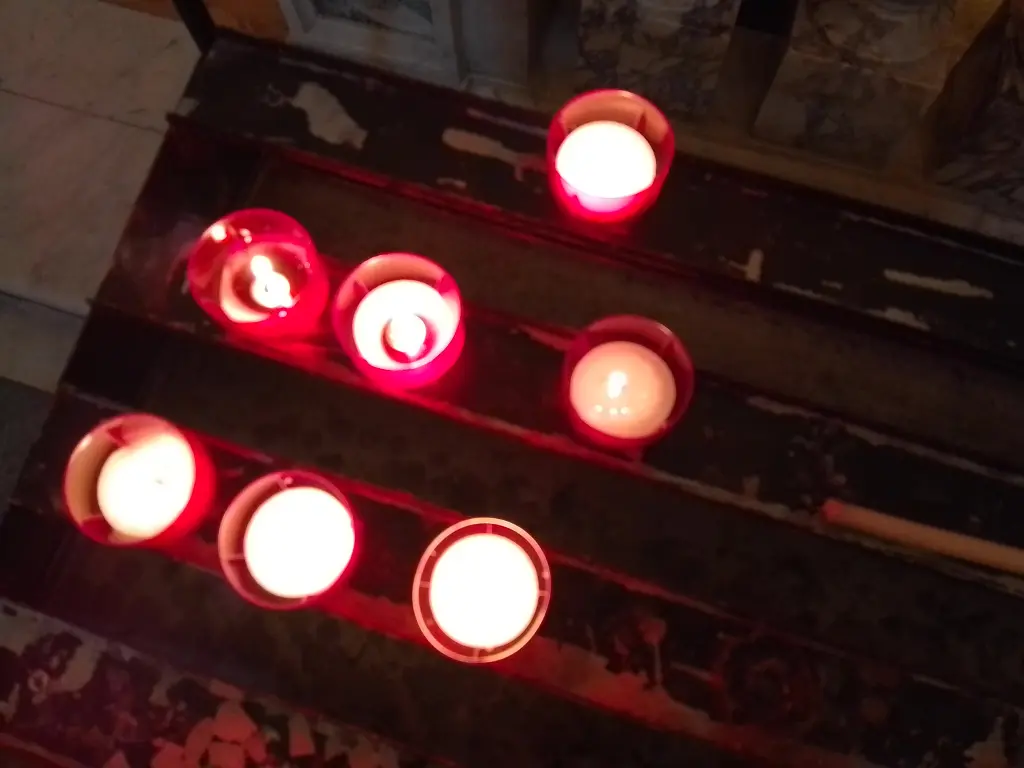 Condolence image of Euer treuer Freund Snupik ❤️