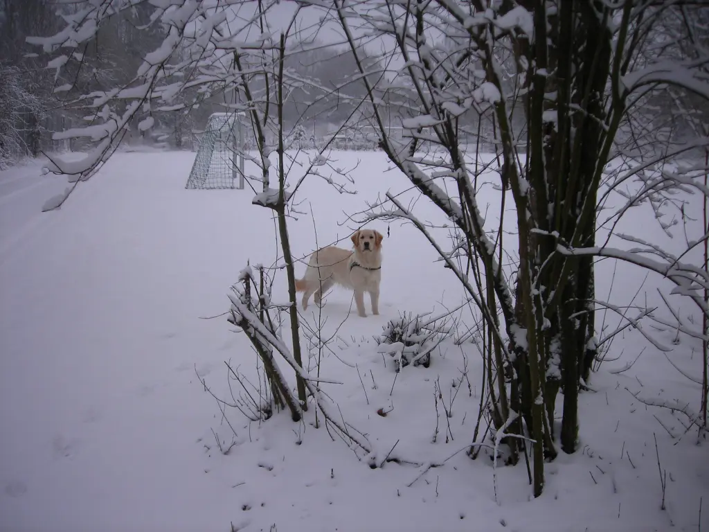 Condolence image of Peter & Christa mit Theo❤️