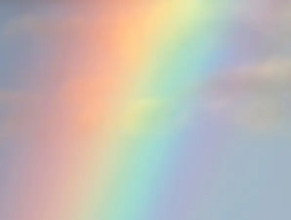 Condolence image of Mona❤️eine Rose für Daisy 🌹