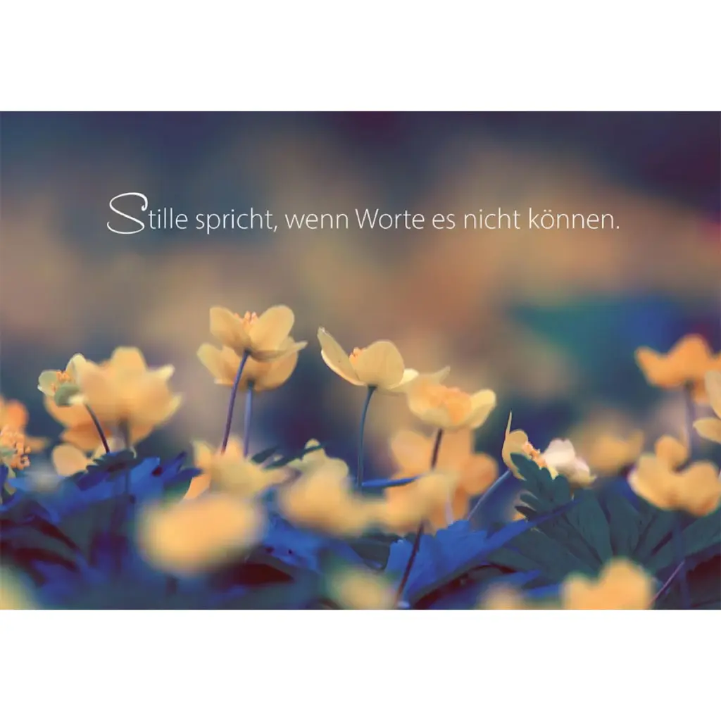 Condolence image of Amy *