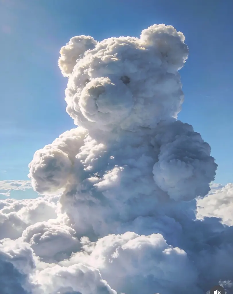 Condolence image of Für Buffy ❤️