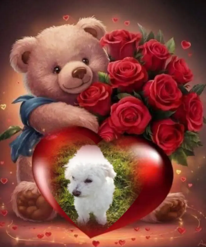 Condolence image of Snowy♥️ geliebt♥️ und unvergessen♥️