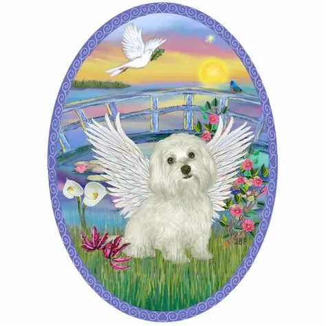 Condolence image of von ❤️für Snowy 🌹✨