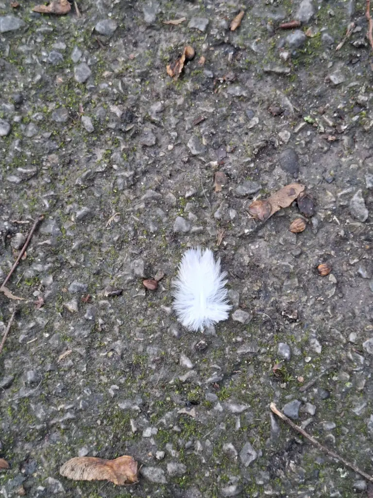 Condolence image of Heike und Tucker