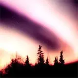 Condolence image of ❤️ für Snowy ❤️