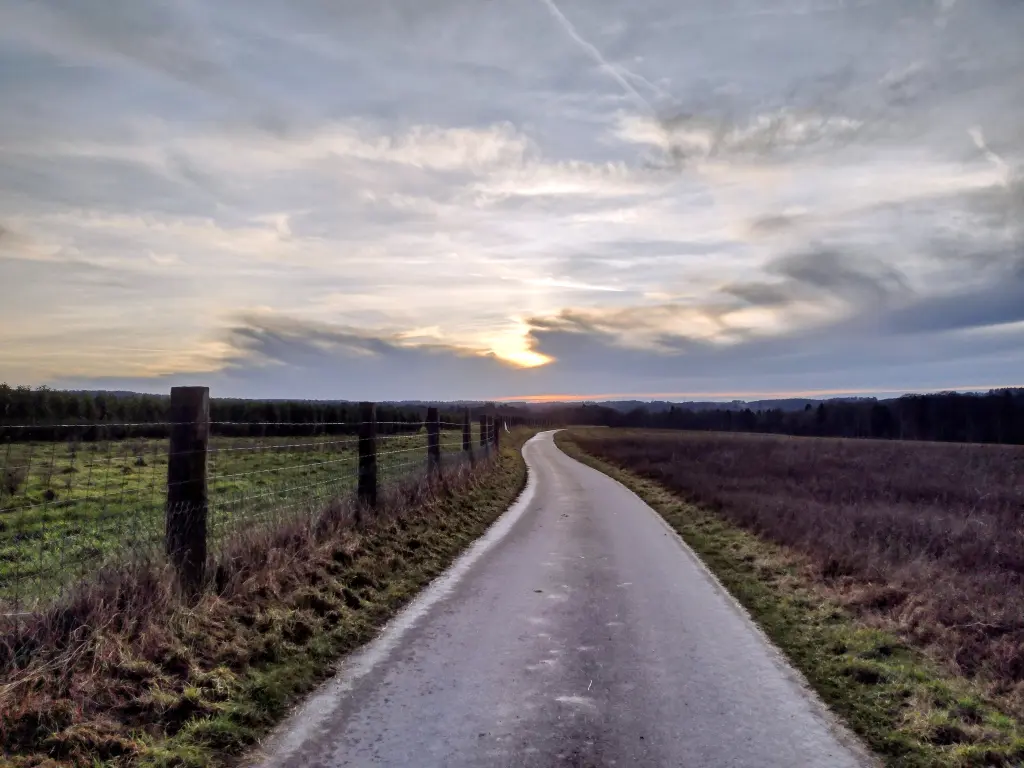 Condolence image of Corinna💜