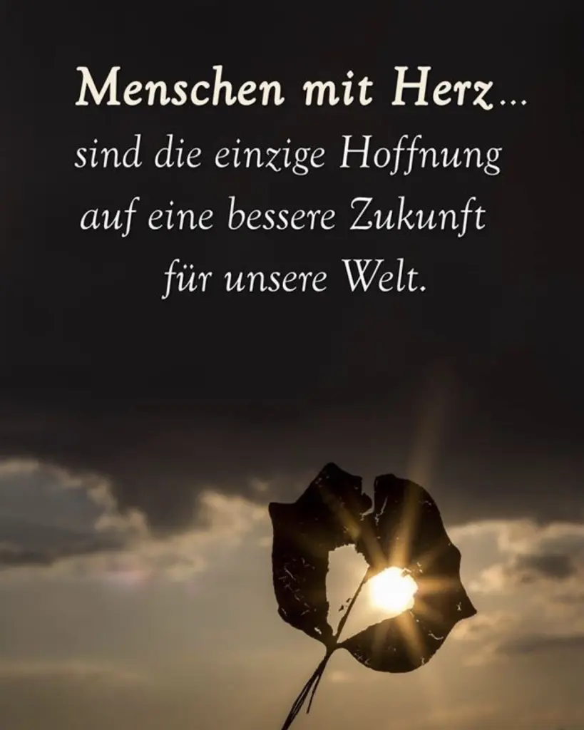 Condolence image of Mona eine 🌹für Snowy