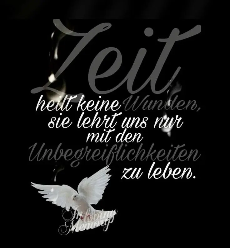 Condolence image of Zum Gedenken an Micky 💖