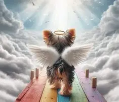 Condolence image of von ❤️ für Micky ✨💫