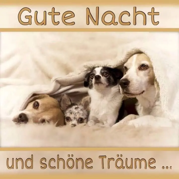 Condolence image of Heide mit Cita im Herzen❤️