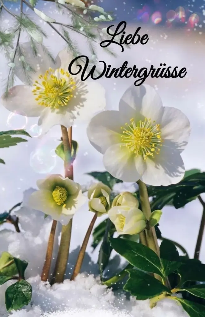 Condolence image of Heide mit Cita im Herzen❤️