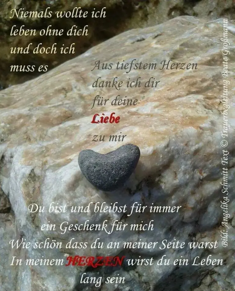 Condolence image of 🤍🌹🤍🌹🤍🌹🤍🌹