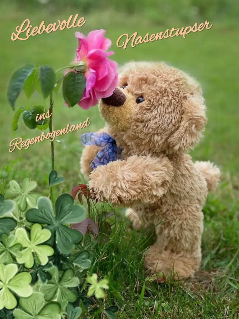 Condolence image of 🌹🤍🌹🤍🤍🌹🤍🌹