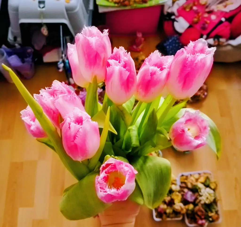 Condolence image of Dein treuer Freund Snupik mit Aliya im Herzen ❤️