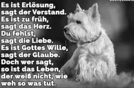 Condolence image of Von Gina