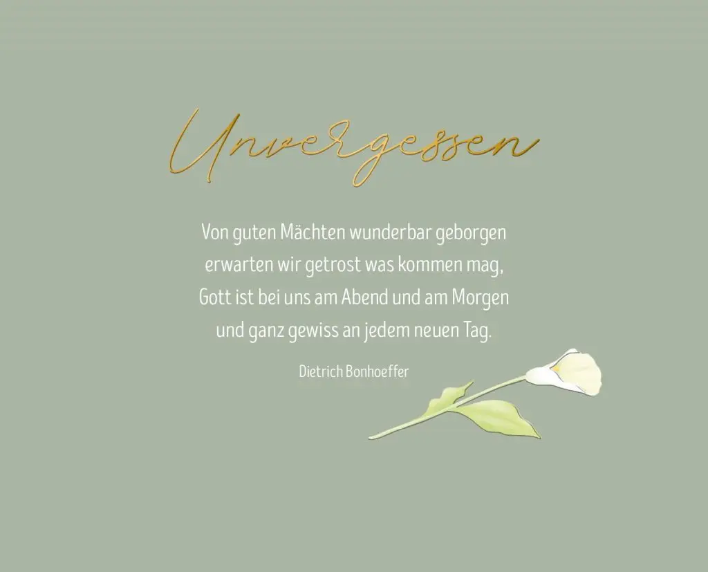 Condolence image of Für Daisy 🍀 Petra m. Motte💗