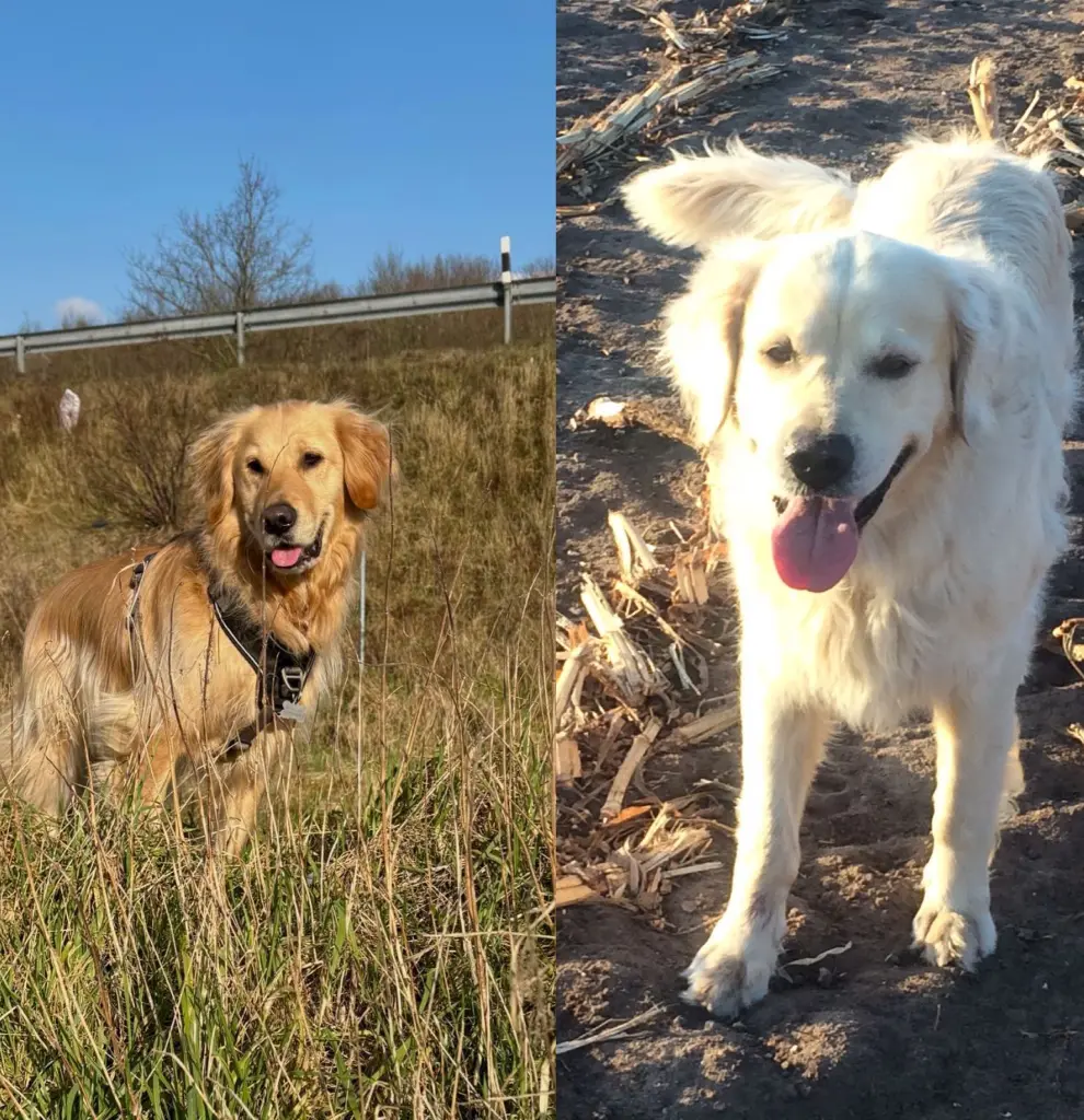 Condolence image of für Snowy ❤❤