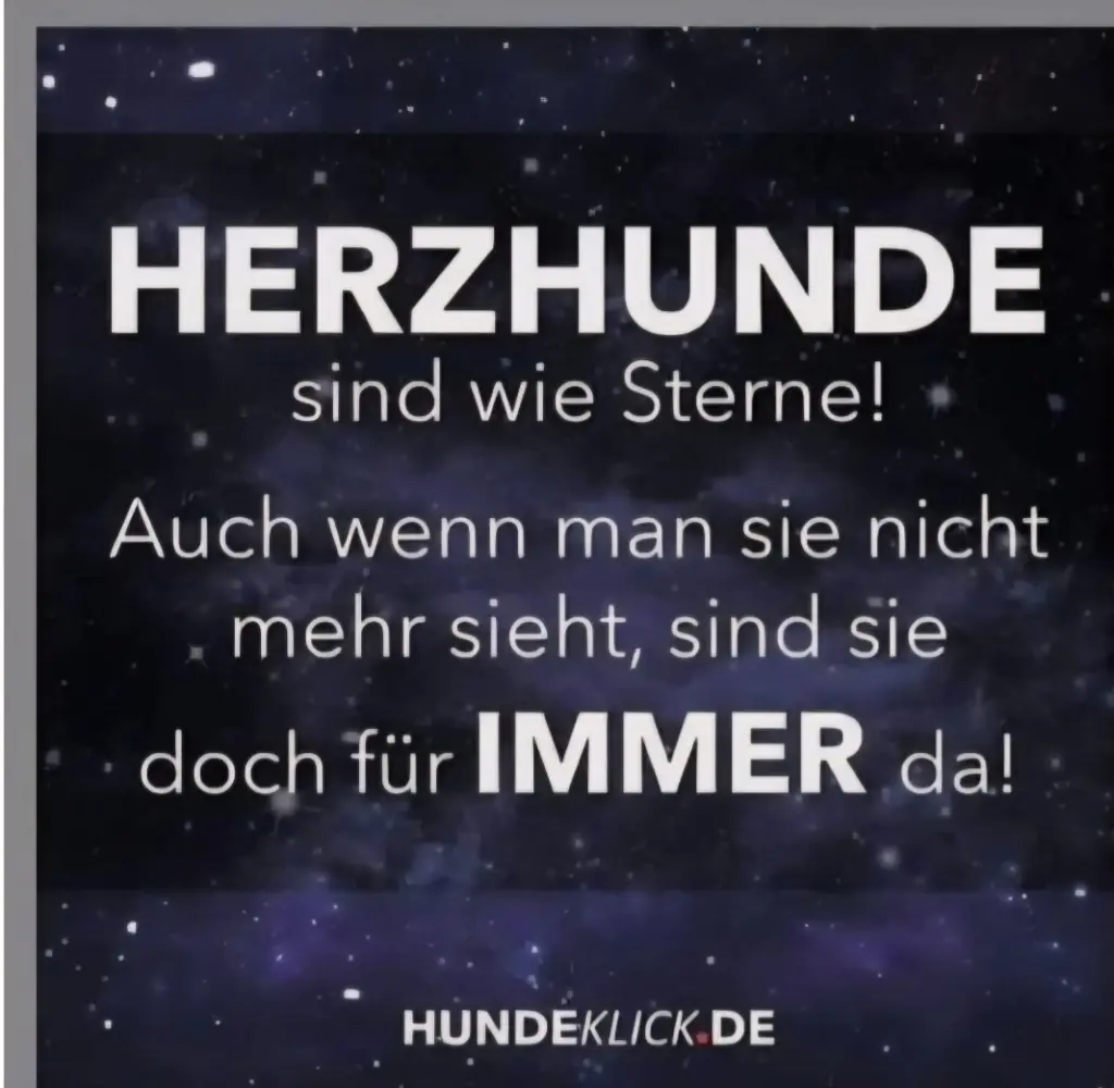 Condolence image of Jörg & Sabine mit Yukon tief im ❤️
