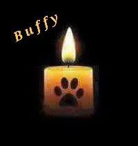 Condolence image of ♥️ für Buffy ♥️