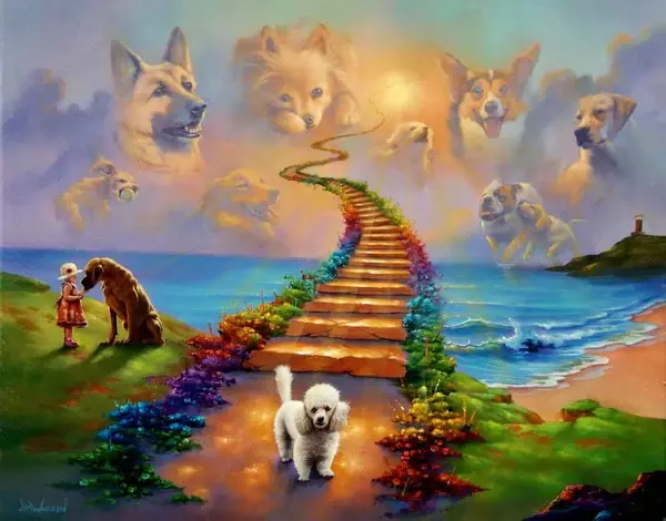 Condolence image of Dein treuer Freund Snupik mit Aliya im Herzen ❤️