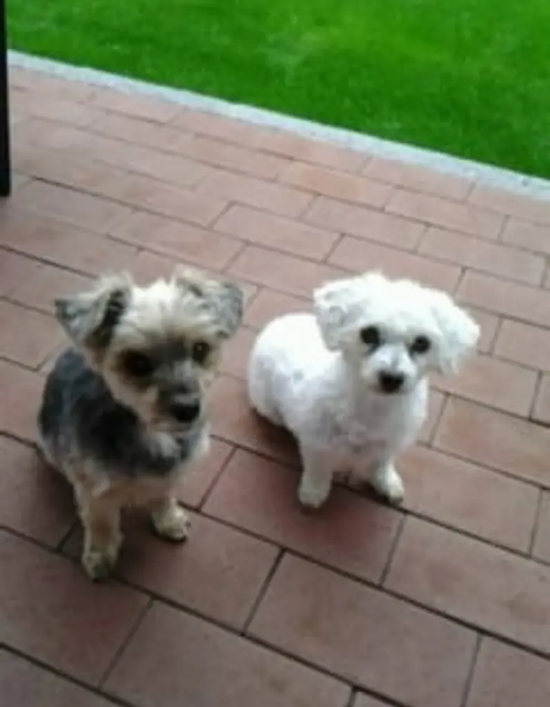 Condolence image of Immer♡in ♡ meinem♡ Herzen ♡