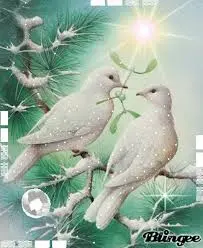 Condolence image of Silberfellchen Nicky