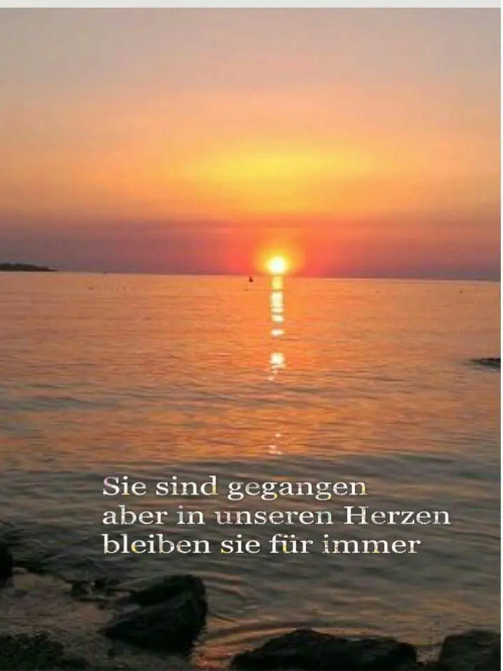 Condolence image of Paul mit "Spiky" tief im Herzen