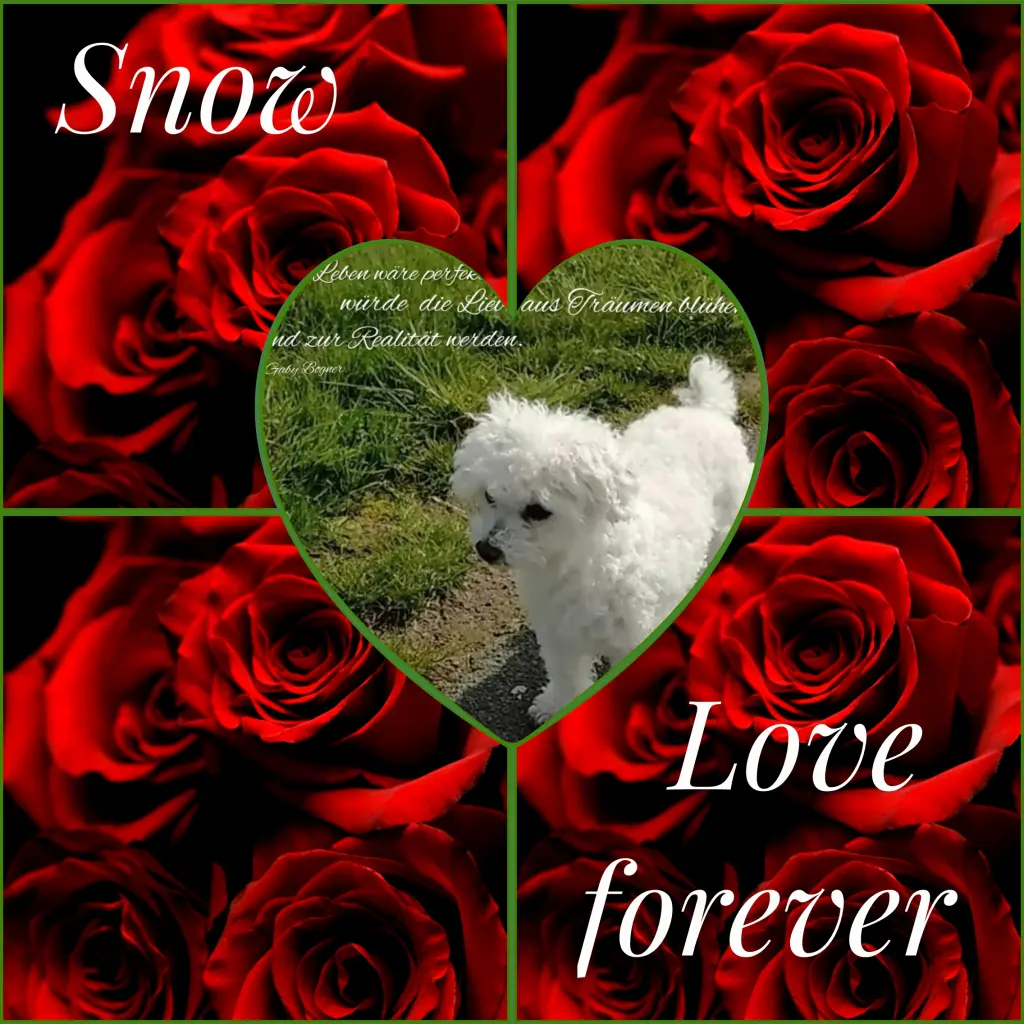 Condolence image of Corinna ❤️