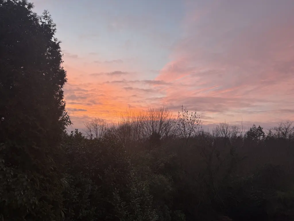 Condolence image of Mickey ❤️