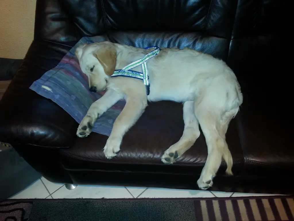 Condolence image of Peter & Christa