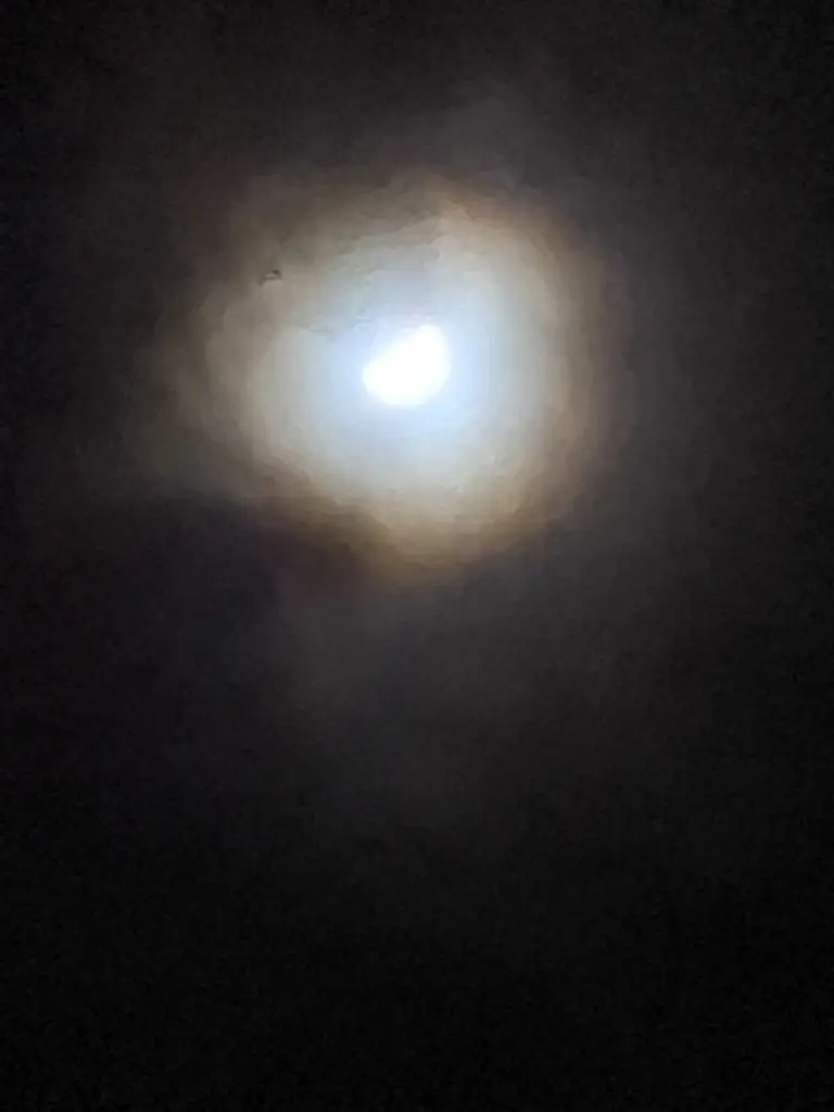 Condolence image of Heike und Tucker