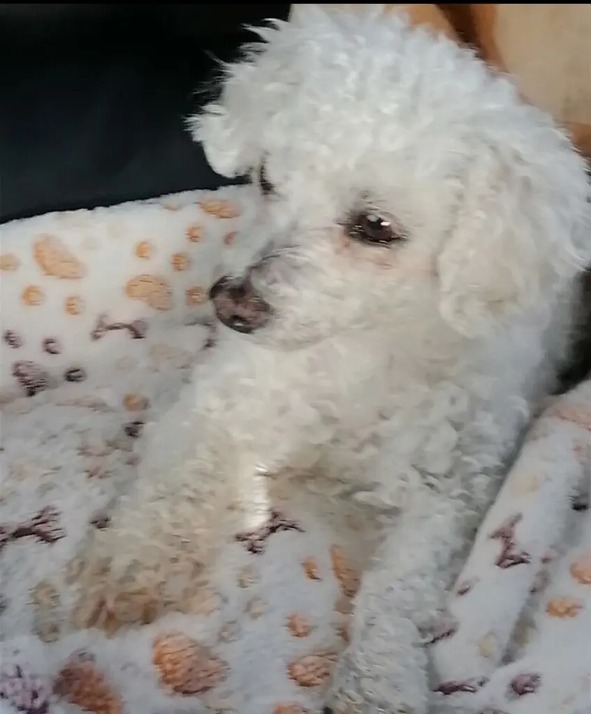 Condolence image of Immer♡in♡meinem♡Herzen ♡