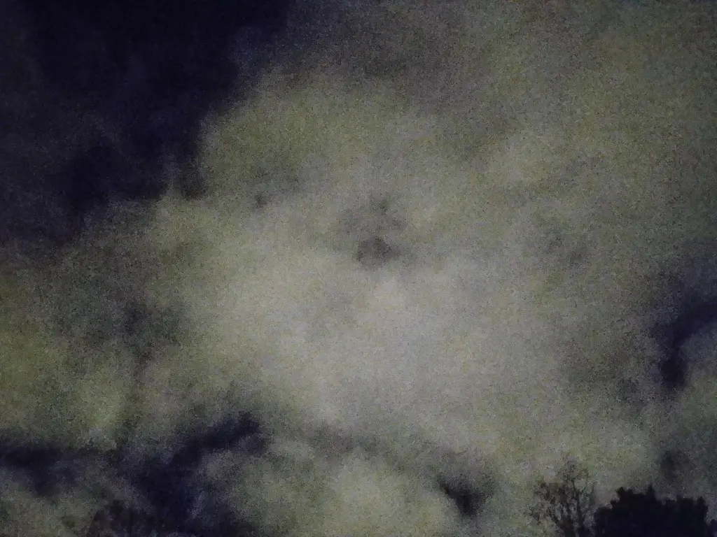 Condolence image of Dein treuer Freund Snupik mit Aliya im Herzen ❤️