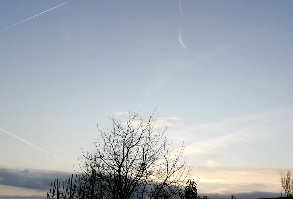 Condolence image of ♡