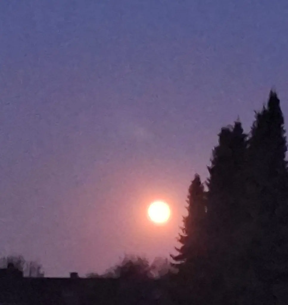 Condolence image of Heike und Tucker