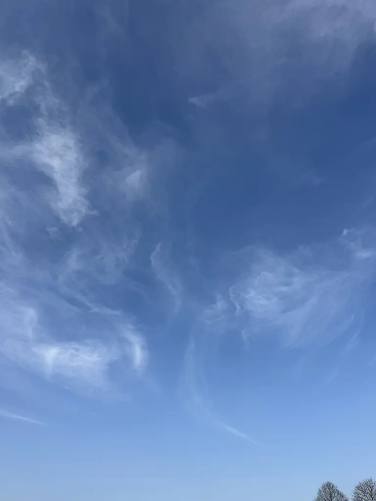 Condolence image of Snowy ❤️ machen wir Party ?