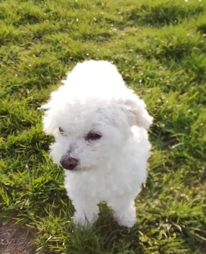 Condolence image of ♡