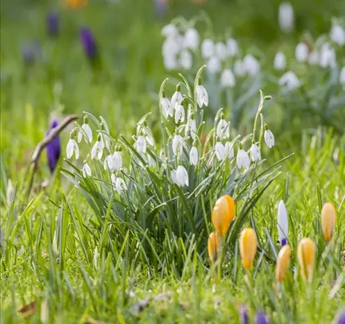 Condolence image of Petra mit Motte 🌸