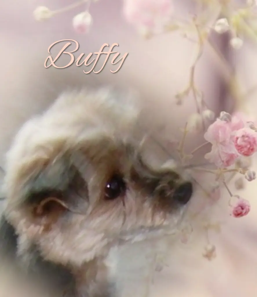 Condolence image of Immer♡ in♡unseren♡ Herzen♡