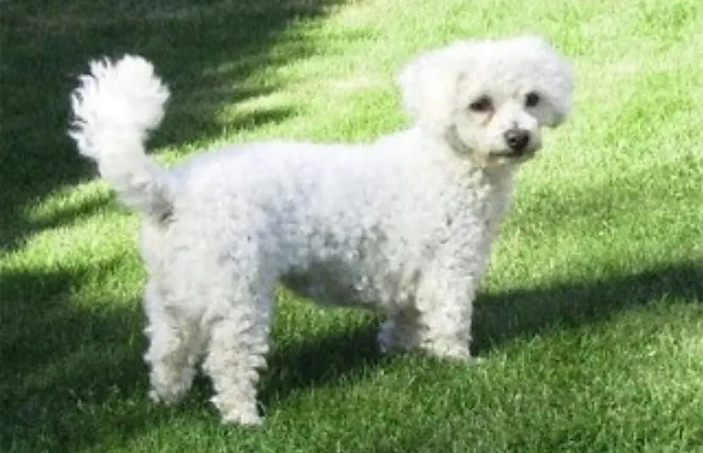 Condolence image of ♡