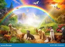 Condolence image of ❤️⭐️ Unvergessen ⭐️❤️