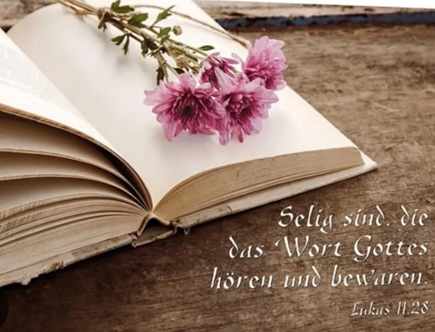 Condolence image of Für Snowy 💕