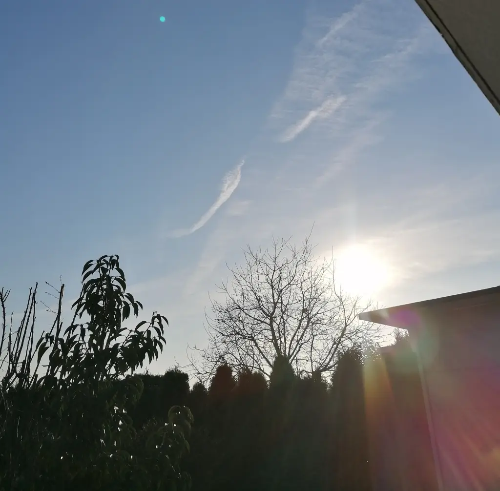 Condolence image of 🕊️