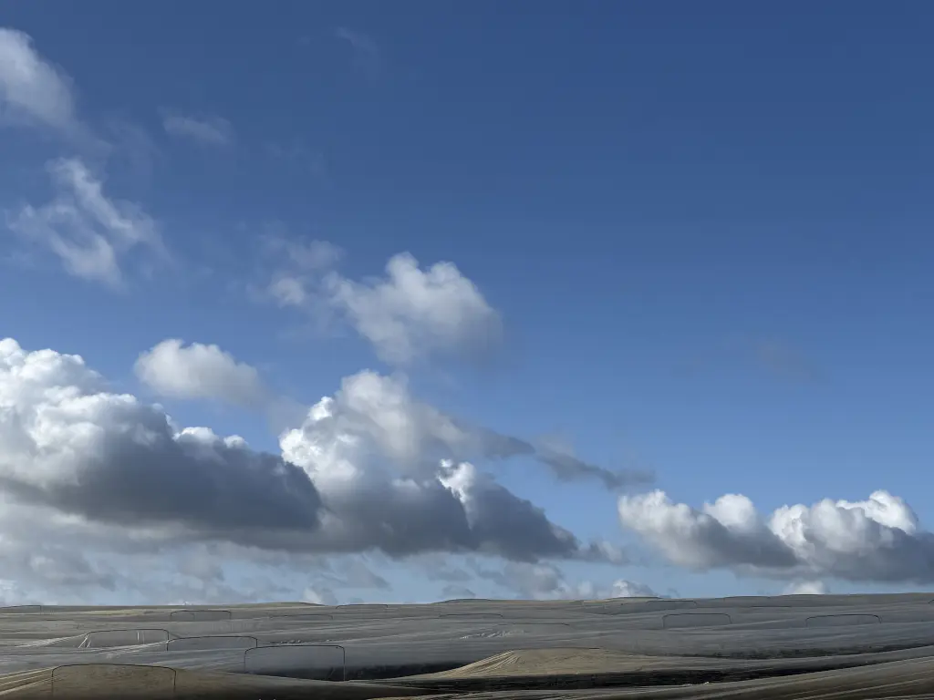 Condolence image of Mickey ❤️kleiner Schatz