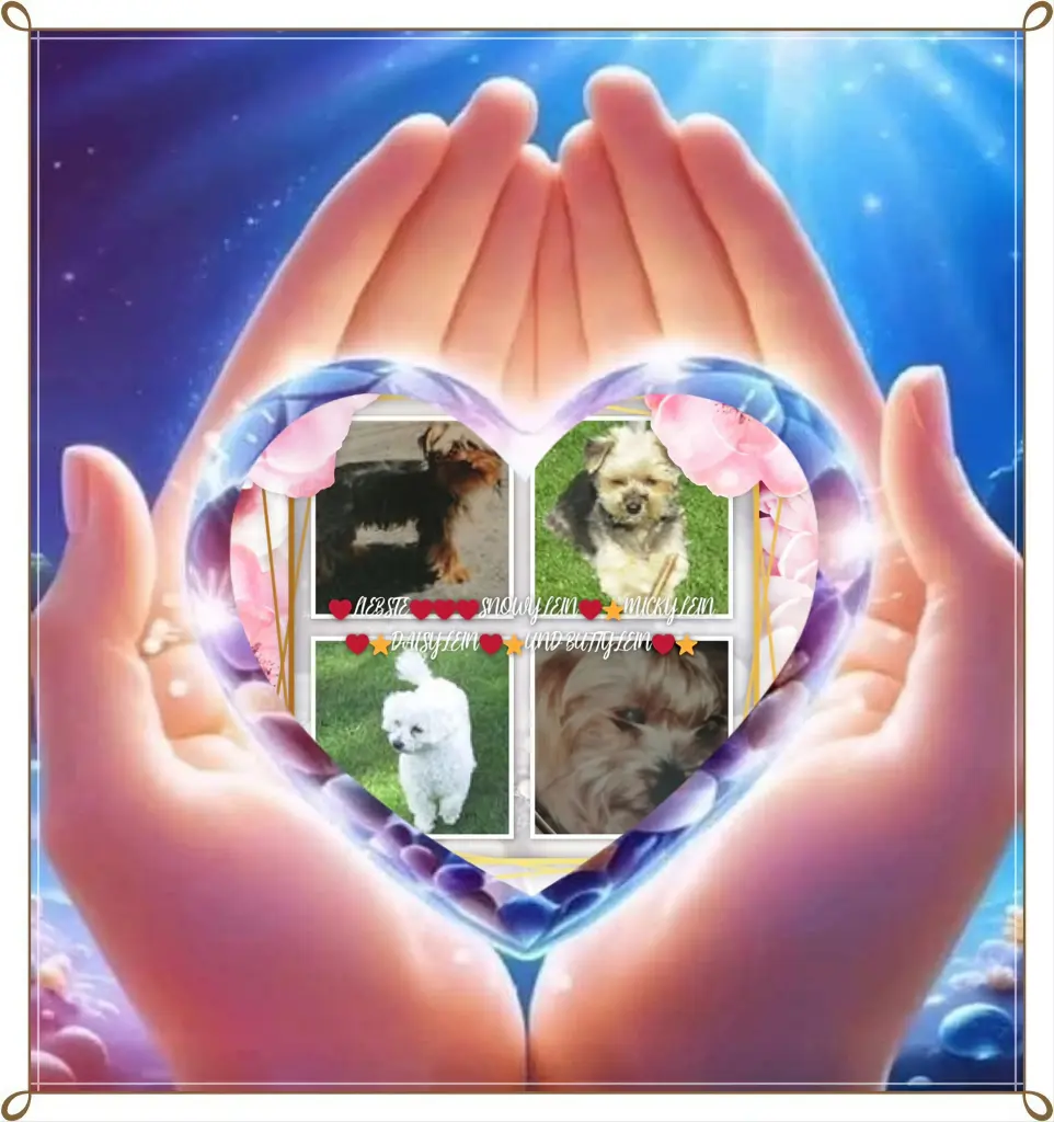 Condolence image of Sonntag❤️Rosenchen🌹🌹🌹🌹🌹🌹🌹🌹🌹🌹