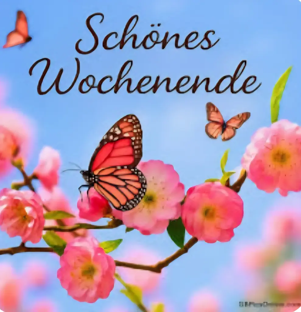 Condolence image of Jörg und Sabine mit Yukon tief im Herzen ❤️