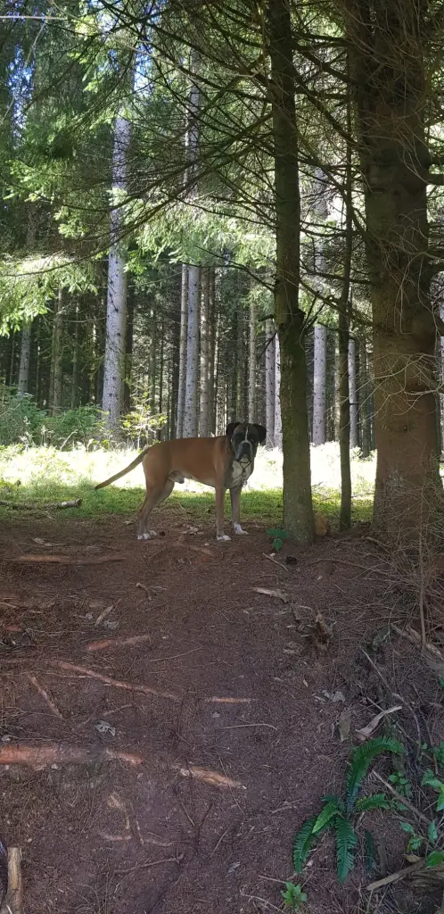 Condolence image of Heike und Tucker