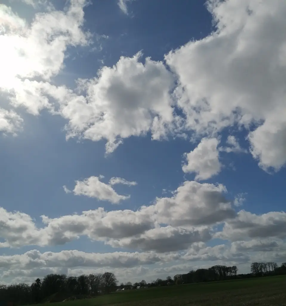 Condolence image of ✨Vertrautes ✨Flüstern✨ von dir✨