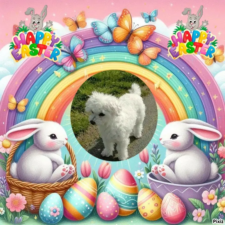 Condolence image of Tanja mit Timmy im 💖🐈🐾